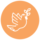 peace of mind icon