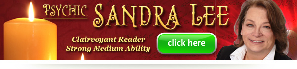 Sandra Lee